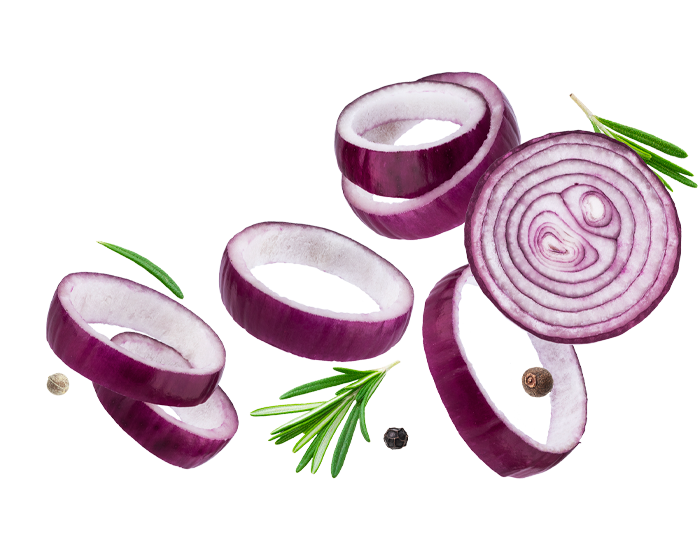 salsa 0006